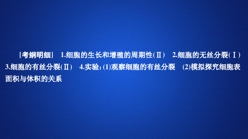 高考生物一轮复习必修1 第4单元复习课件 完整版本