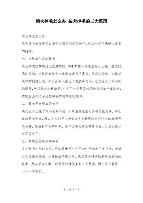 柴犬掉毛怎么办 柴犬掉毛的三大原因