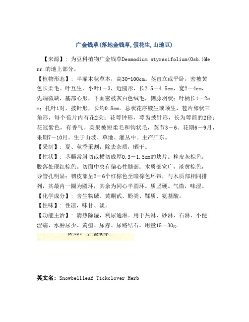广金钱草(落地金钱草,假花生,山地豆)