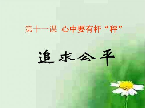 初二政治下学期追求公平--江苏教育版(新编201908)