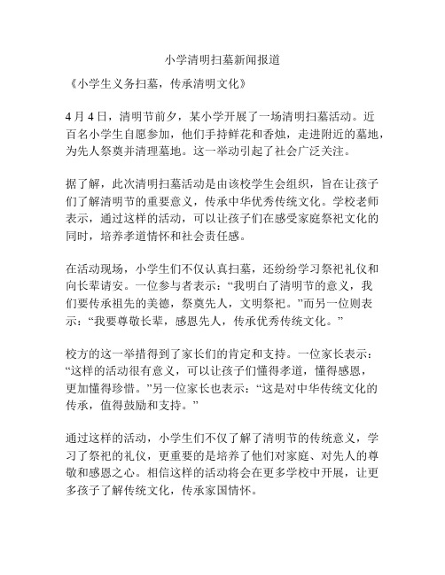 小学清明扫墓新闻报道