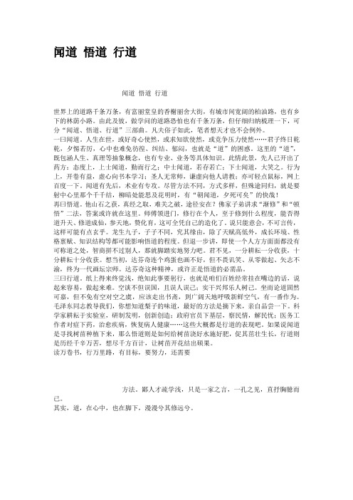 闻道悟道行道