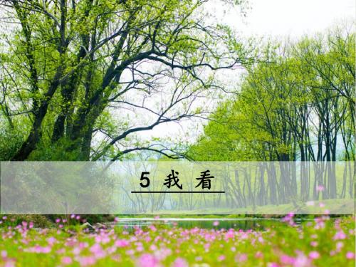 部编人教版九年级语文上册第5课《我看》精品课件
