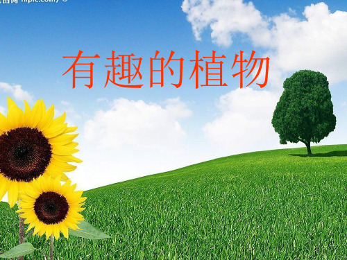 小学品德与生活一年级下册有趣的植物-课件