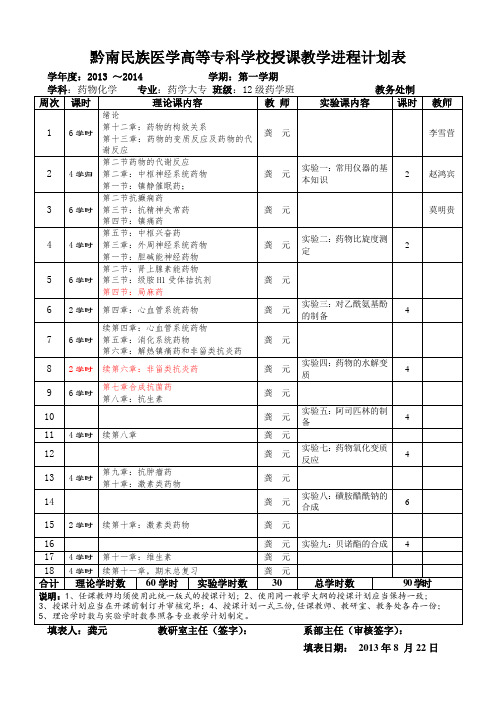 13级药物化学计划