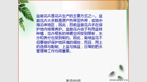 盆花种养技术PPT课件