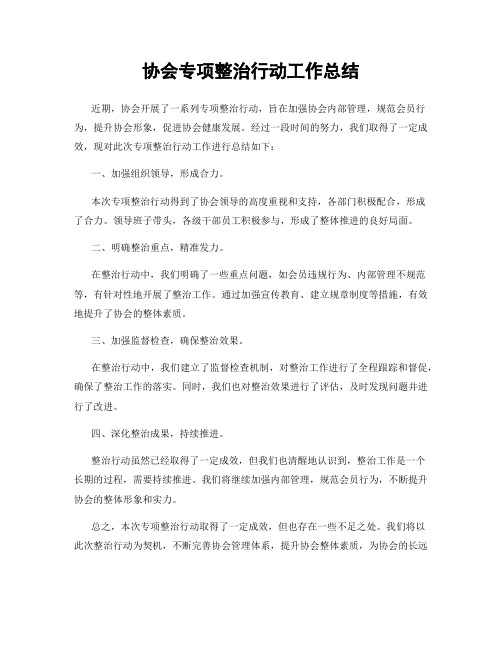 协会专项整治行动工作总结