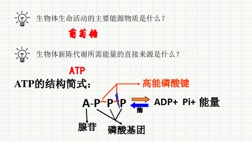 全国高中生物优质课赛课一等奖《 细胞呼吸》PPT课件