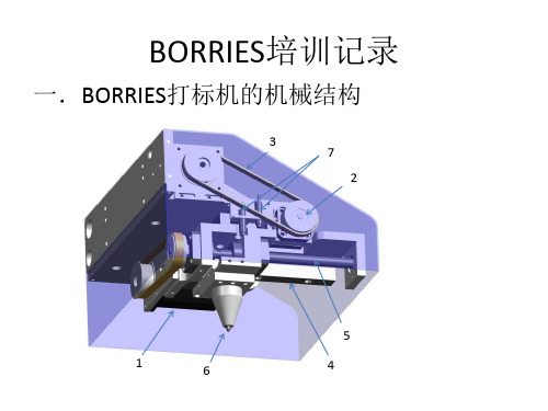 BORRIES培训记录.pptx