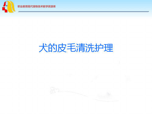 犬的皮毛清洗护理.ppt