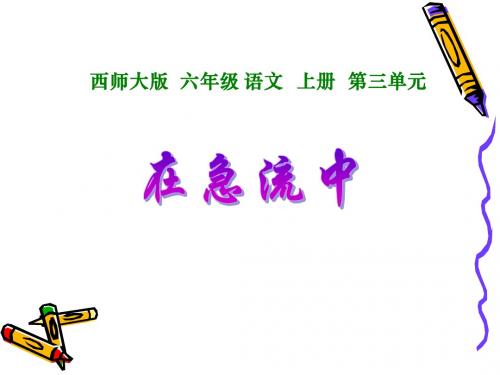 西师版六年级上册语文第11课《在急流中》课件