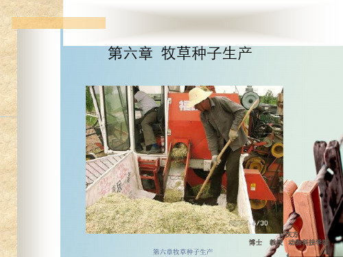 第六章牧草种子生产