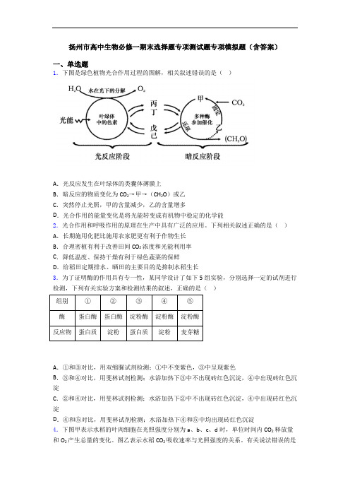 扬州市高中生物必修一期末选择题专项测试题专项模拟题(含答案)