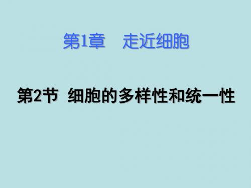 人教版生物必修一 第一章第二节 细胞的多样性和统一性 课件 (共18张PPT)