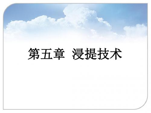 中药浸提技术(2)