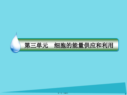 高考生物一轮复习第三单元细胞的能量供应和利用第11讲能量之源光与光合作用课件