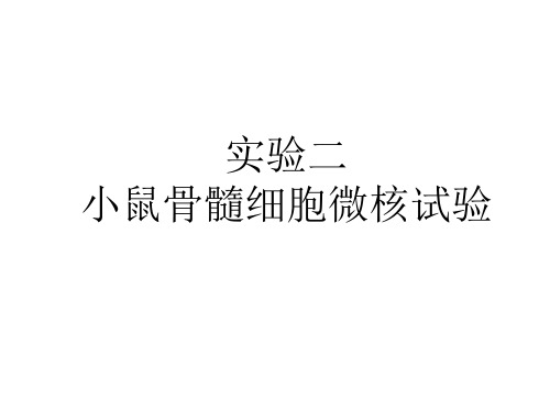 《动物毒理实验》课件：实验二 小鼠骨髓细胞微核试验