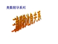 三角形的边角关系(竞赛)