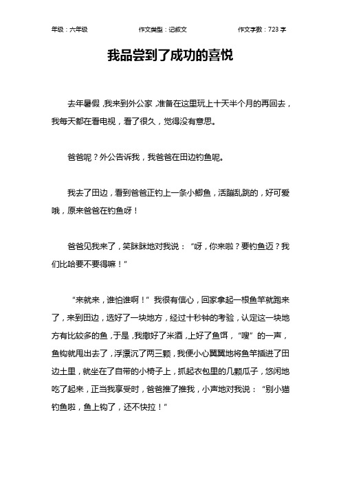 我品尝到了成功的喜悦作文【小学六年级700字】