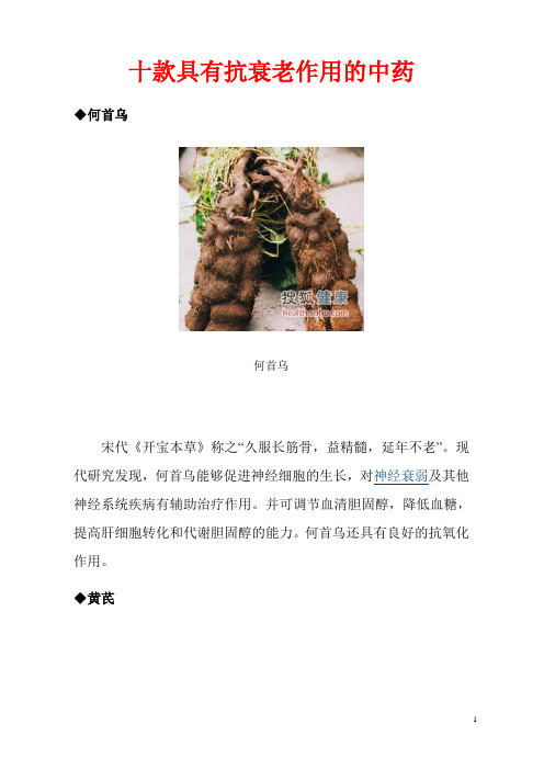 十款具有抗衰老作用的中药