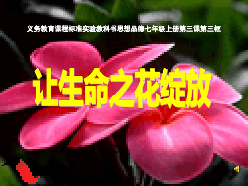 让生命之花绽放ppt优秀课件1 人教版