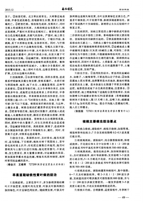 苹果苗期缺铁性黄叶病的防治