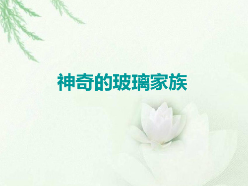 四年级下册语文课件-7.29 神奇的玻璃家族｜西师大版 (共27张PPT)