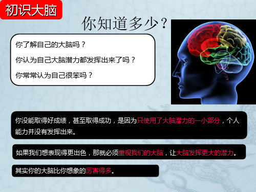大脑思维导图