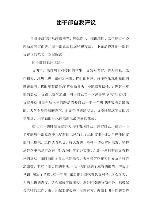 团干部自我评议