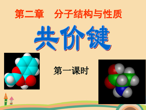 高一化学分子结构与性质PPT教学课件