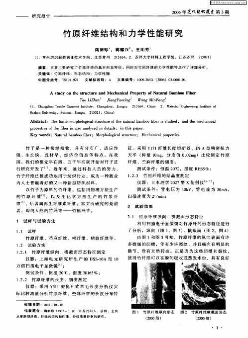 竹原纤维结构和力学性能研究