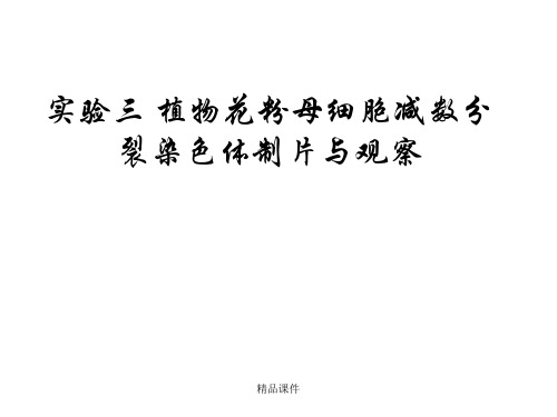 植物减数分裂制片观察ppt课件