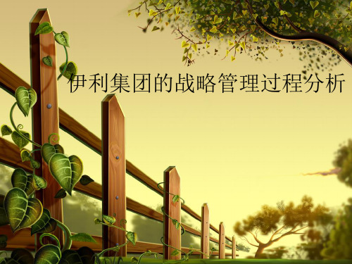 伊利集团的战略管理过程分析