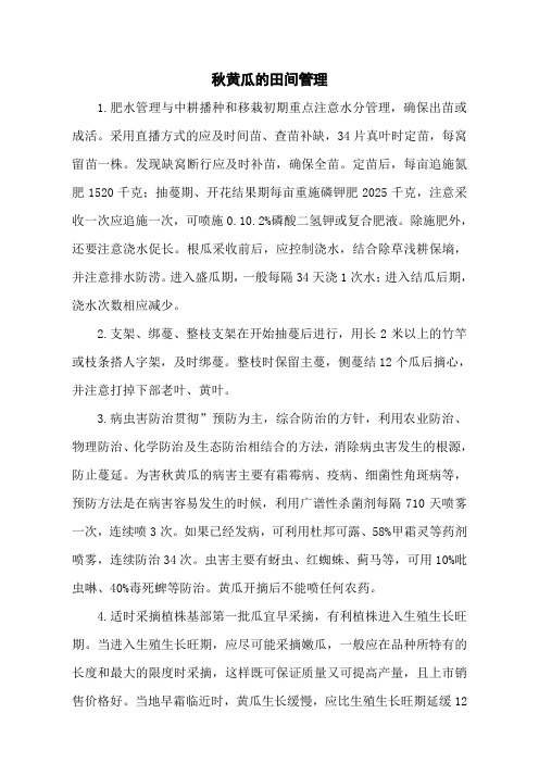 秋黄瓜的田间管理