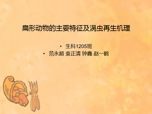 扁形动物的主要特征及涡虫的再生机理