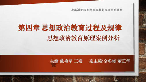 思想政治教育原理案例分析(修订版) (16)[29页]