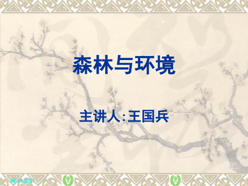 林学概论森林与环境PPT精品文档