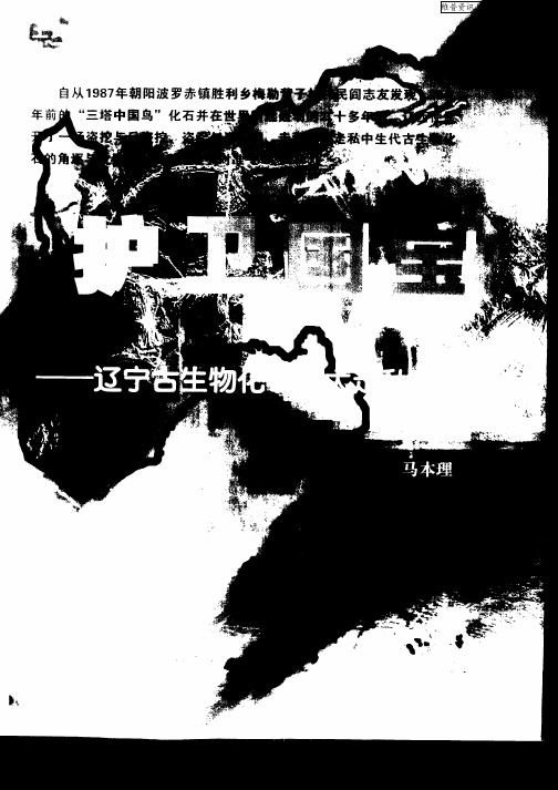 护卫国宝—辽宁古生物化石特大走私案始末
