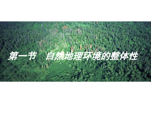 自然地理环境的整体性精品PPT课件
