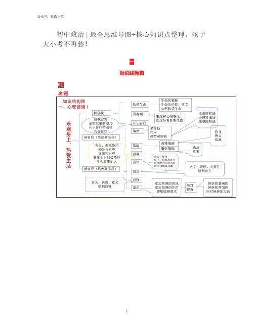 初中政治  最全思维导图+核心知识点整理