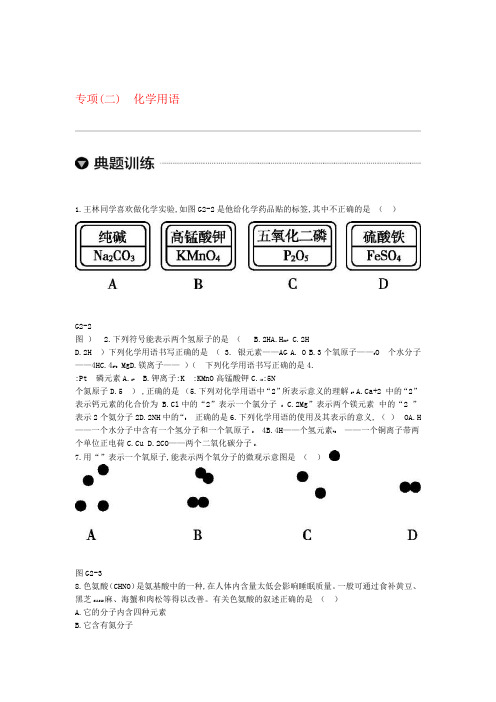 江苏省2019届中考化学复习试题专项二 化学用语 含答案