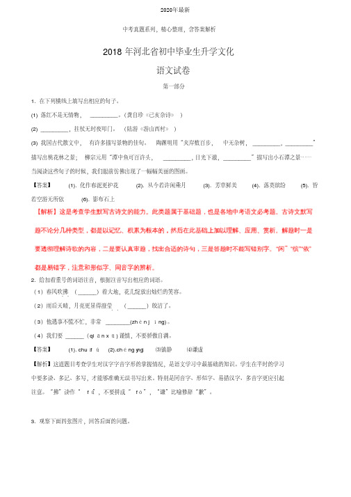 【2020年中考真题系列】河北省2020年中考语文真题试卷含答案(含解析)