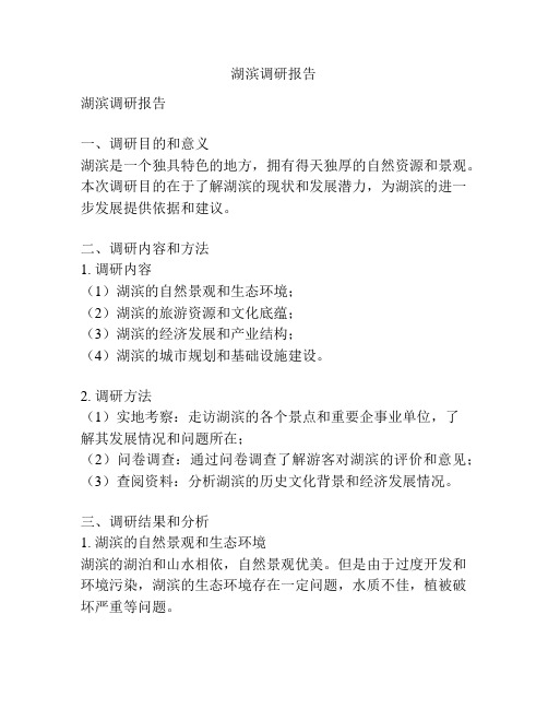 湖滨调研报告