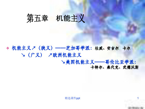 《机能主义心理学》PPT课件