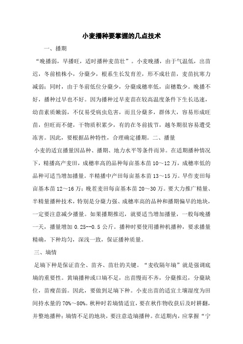 小麦播种要掌握的几点技术