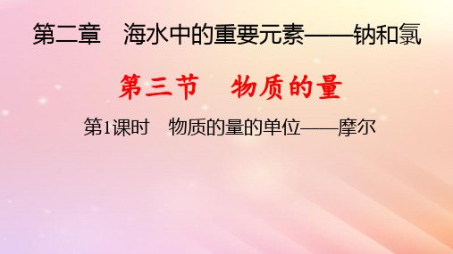 新教材高中化学第2章第3节物质的量第1课时物质的量的单位__摩尔pptx课件新人教版必修第一册
