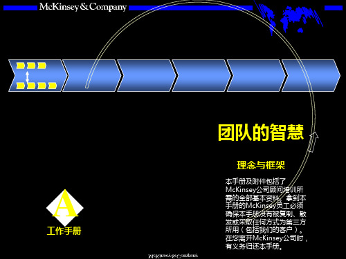 Mckinsey 团队的智慧内部培训手册 