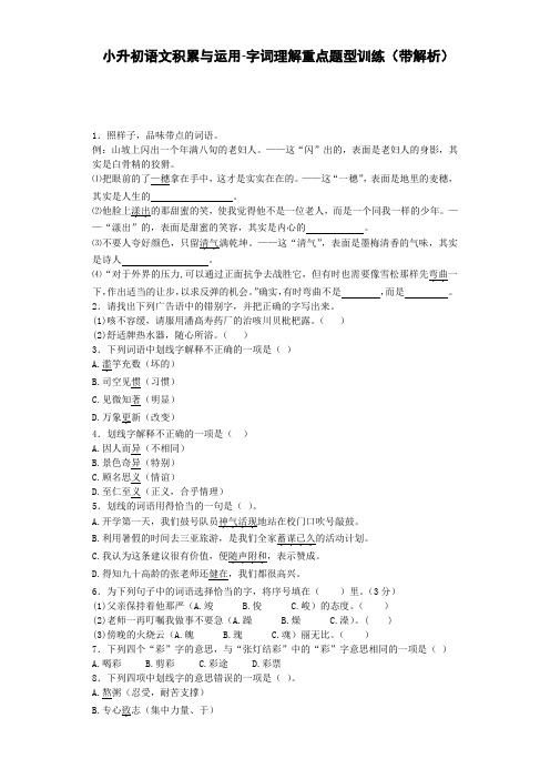 【精品】小升初语文专项训练-字词理解重点题型-北师大版