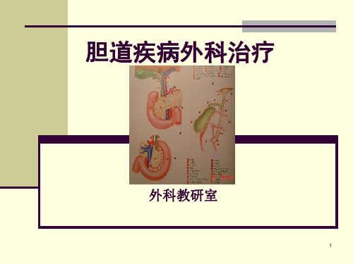 胆道疾病外科治疗PPT课件