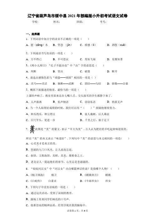 辽宁省葫芦岛市绥中县2021年部编版小升初考试语文试卷(含答案解析)
